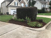 Landscaping